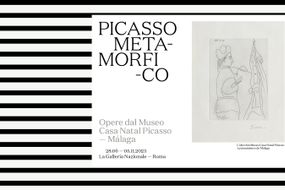 Picasso metamorfico