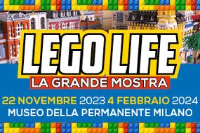 Lego vida