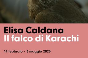 ELISA CALDANA: DER FALKE VON KARACHI