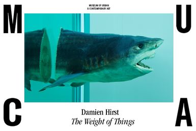 Damien Hirst – Il peso delle cose