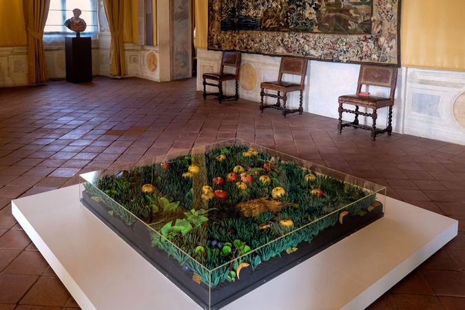 The BEST Venaria Reale Museums & exhibitions 2023 - FREE