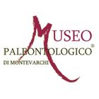 Museo Paleontológico Montevarchi