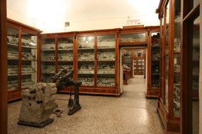 Naturwissenschaftliches Museum Mellerio Rosmini