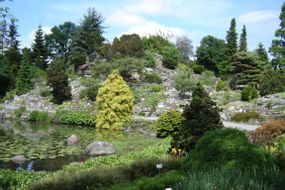 Botanischer Garten der Universität