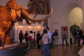 Musée civique des sciences naturelles Enrico Caffi