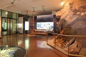 Südtiroler Naturkundemuseum