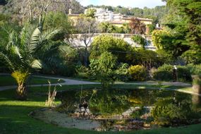 Val Rahmeh-Menton Botanical Garden