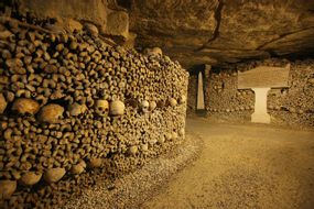 The Catacombs of Paris