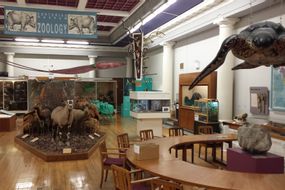 Hunterian Zoology Museum 